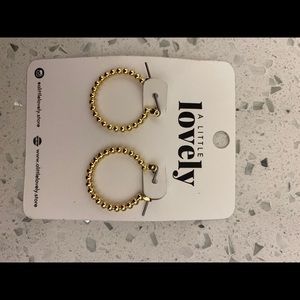 Gold Plates Earrings